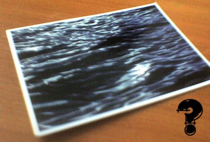 Postkarte_Fragezeichen