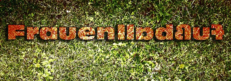 Was der Frauenfußball über unsere Welt&nbsp;verrät