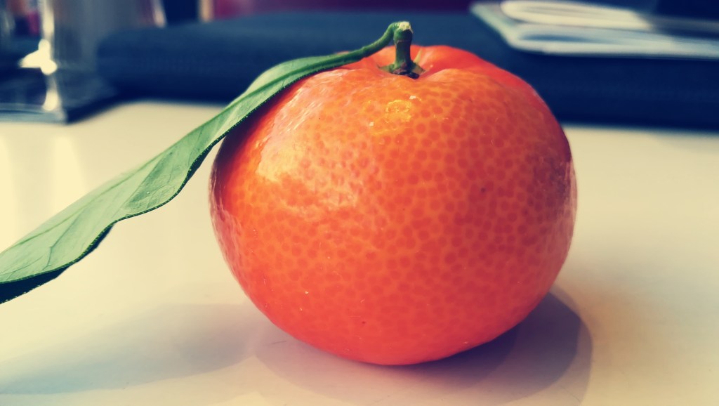 Eine Clementine aus Korsika und ein turbulenter Flug von Nizza nach&nbsp;Wien