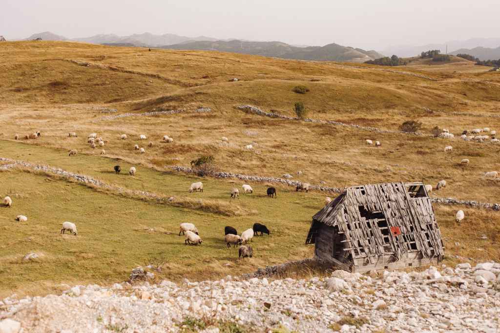 Naht die Katastrophe, braucht es viel Gemeinschaft und ein bisschen&nbsp;boden