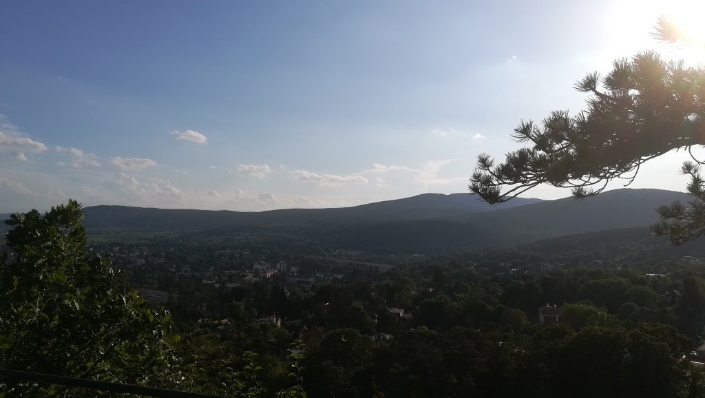 Ein letzter Satz für Alice&nbsp;#literatur