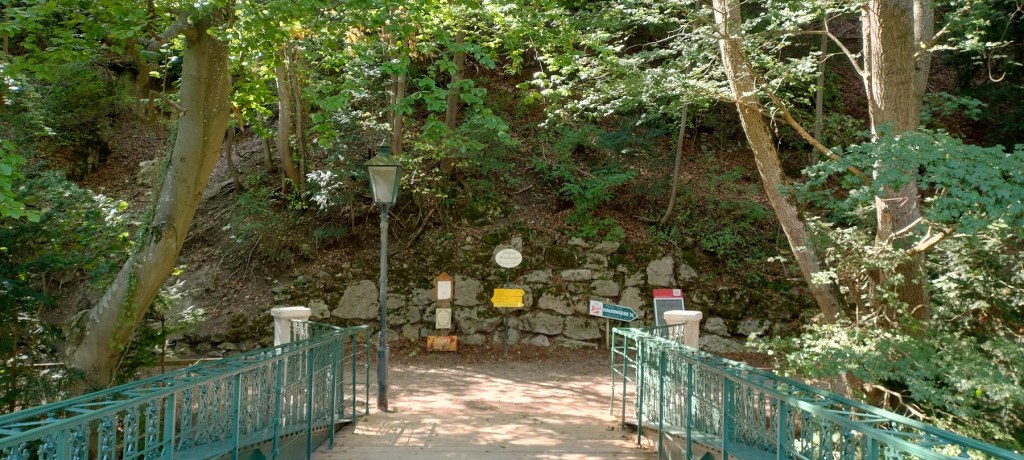 Ein neues Smartphone und die kafkaeske Welt von&nbsp;morgen