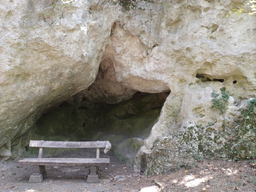 Ausschweifende Gedanken im Garten über das wahre Wissen und die feige&nbsp;Lüge