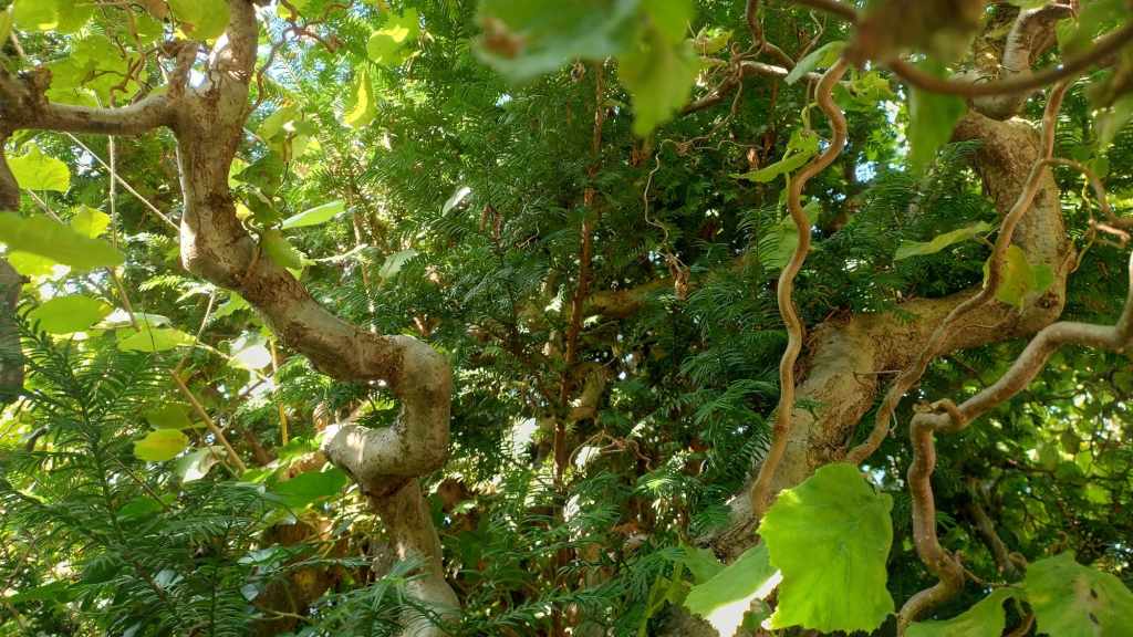 Abschied vom Zaubergarten und der Lauf der&nbsp;Dinge